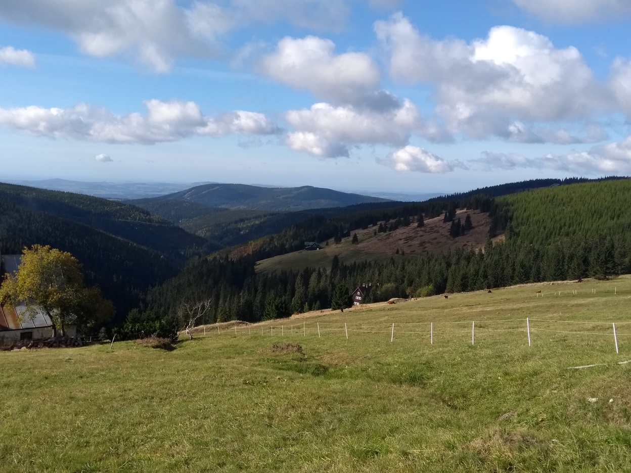 As well as some places where cows are happily eating the grass