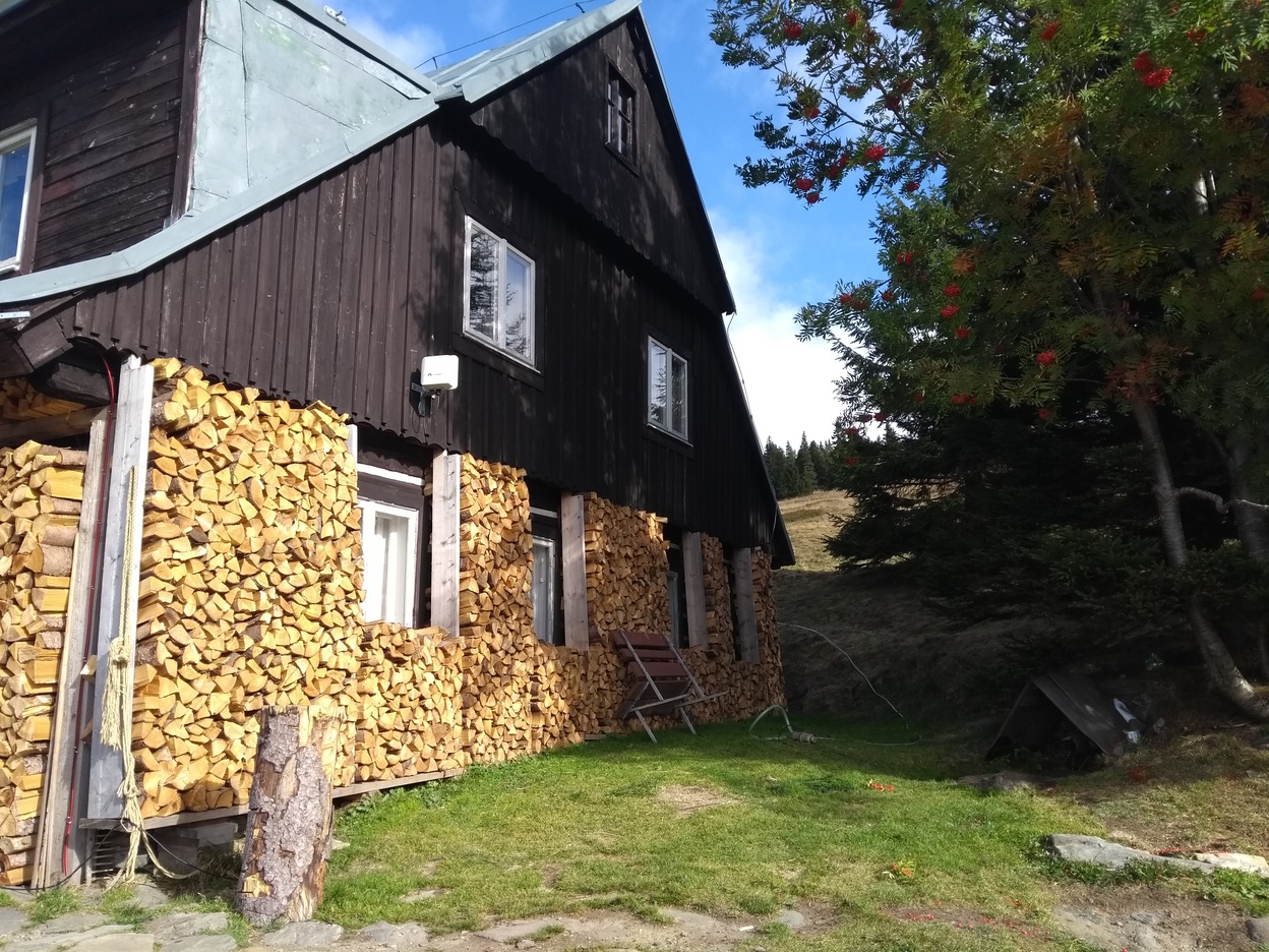 Preparing for the winter means adding another "wall" made of chopped wood