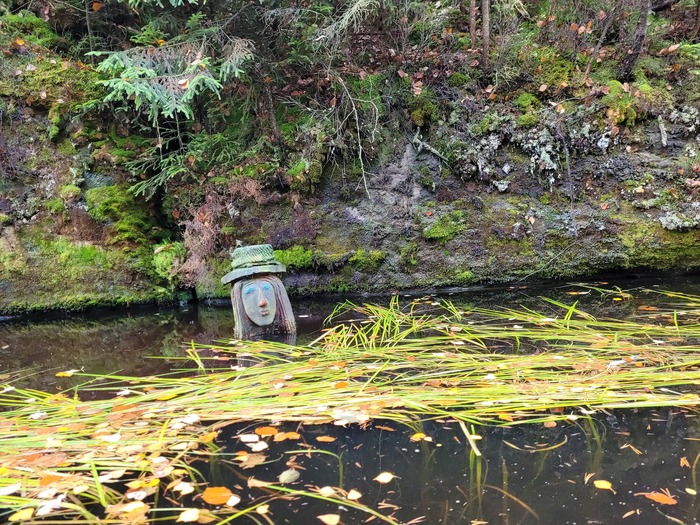 This lady of the lake is observing passers-by