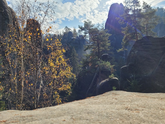 Rocks and trees, each on their own level but harmoniously entwined with one another