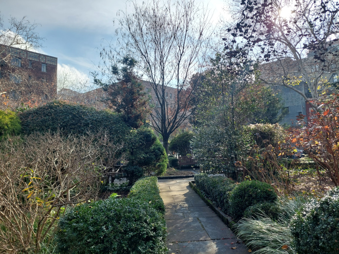 Sometimes among the buildings, one can find cute little spots of greenery